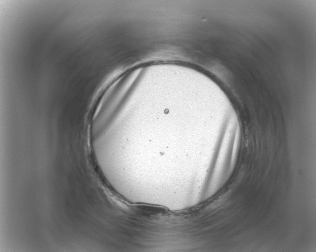 X0000063501366200602172107