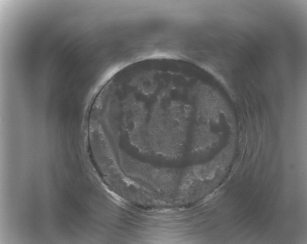 X0000063501367200602172107