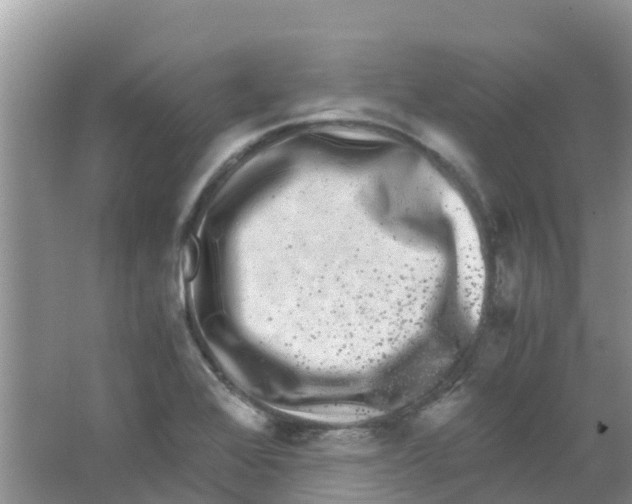 X0000063501368200602172107