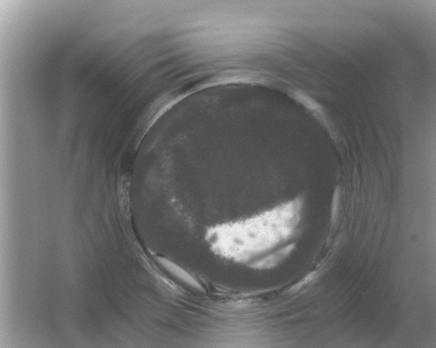 X0000063501369200602172107