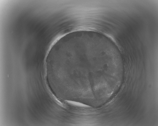 X0000063501371200602172107