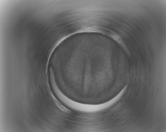 X0000063501372200602172107