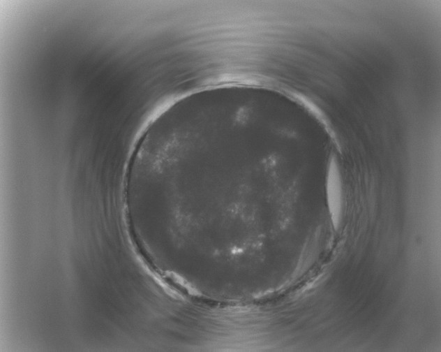 X0000063501373200602172107