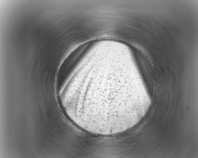 X0000063501374200602172107