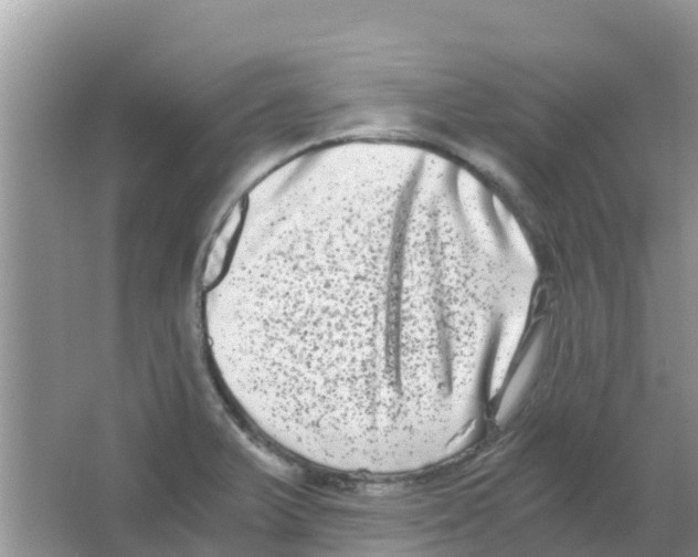 X0000063501375200602172107