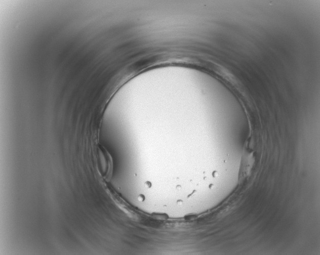 X0000063501377200602172107