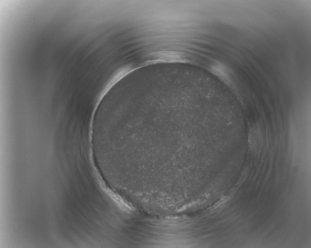 X0000063501378200602172107