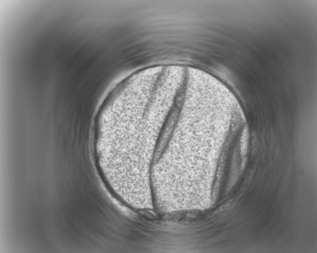 X0000063501379200602172107