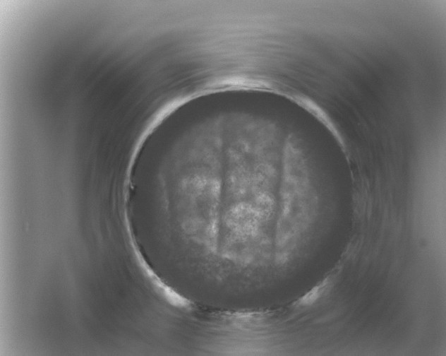 X0000063501381200602172107