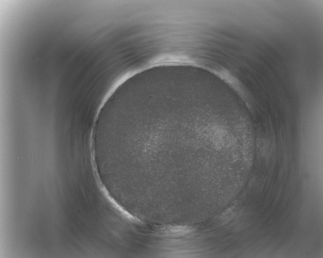 X0000063501382200602172107