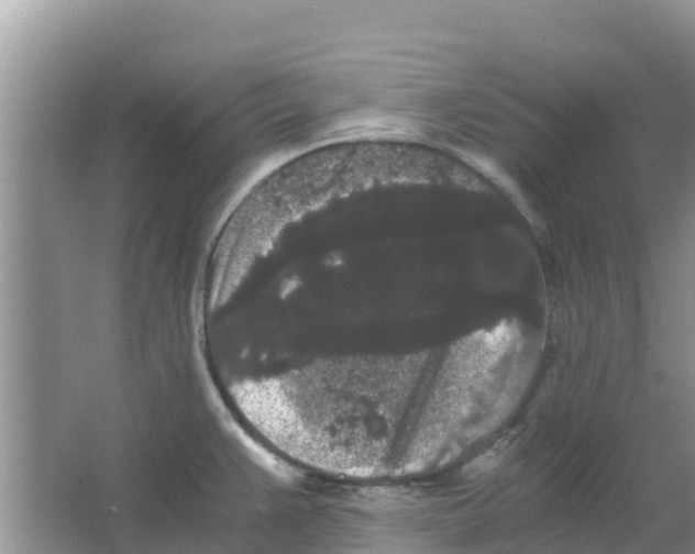 X0000063501383200602172107