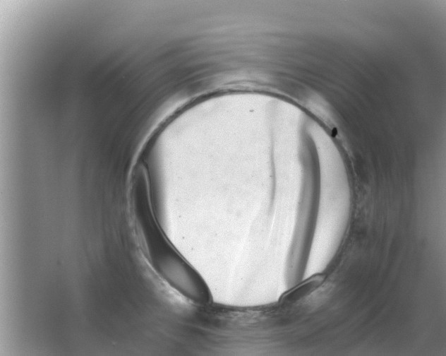 X0000063501384200602172107