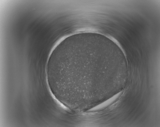 X0000063501389200602172107