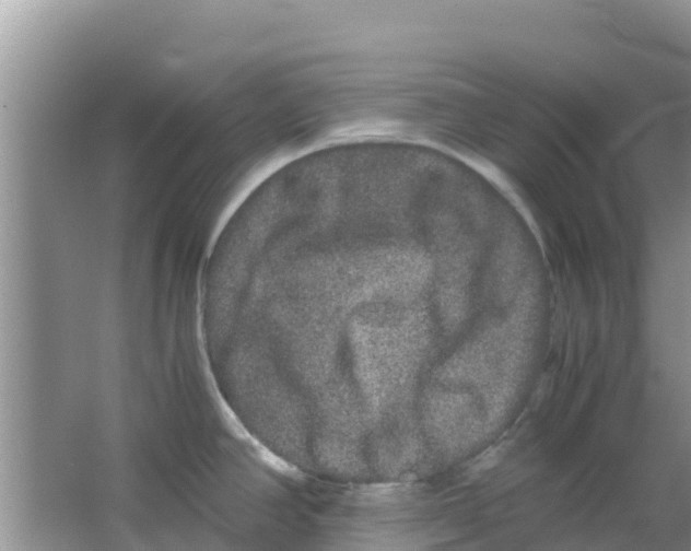 X0000063501390200602172107