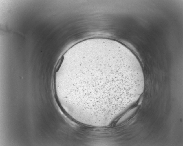 X0000063501391200602172107