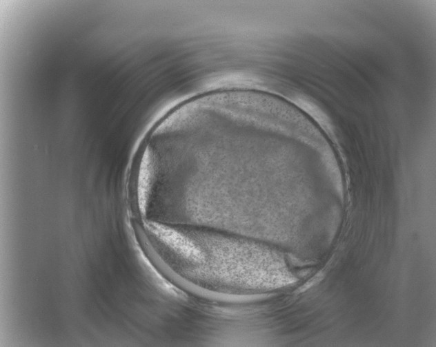 X0000063501392200602172107