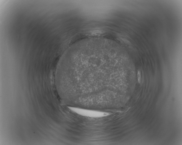 X0000063501395200602172106