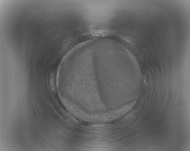 X0000063501396200602172106