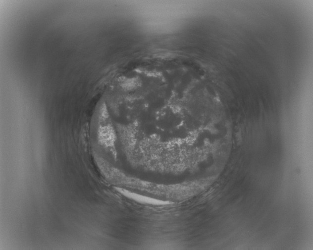 X0000063501397200602172106