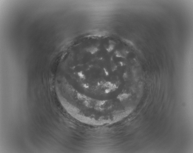 X0000063501399200602172106