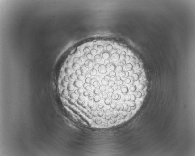 X0000063501400200602172106