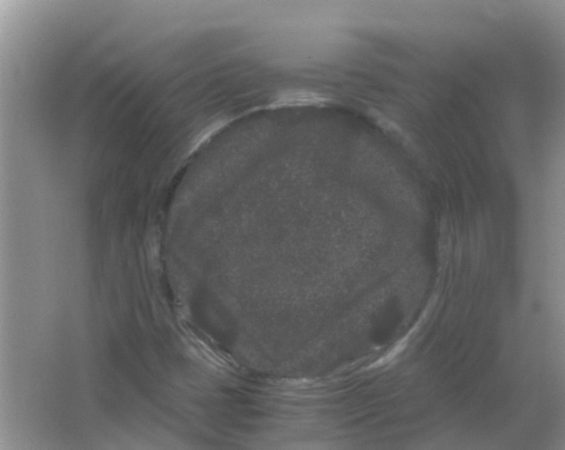 X0000063501401200602172106