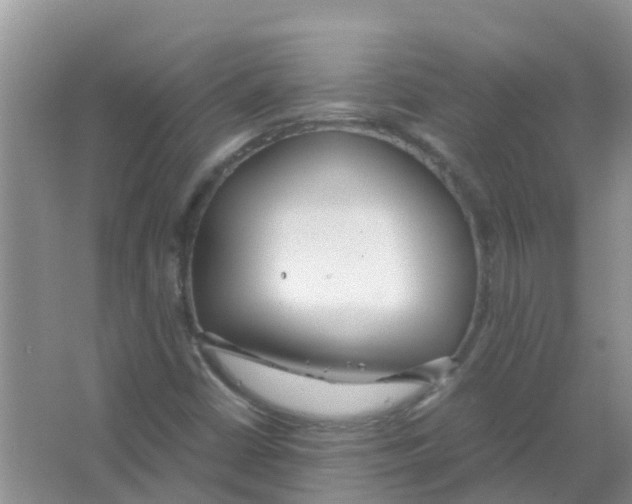 X0000063501402200602172106