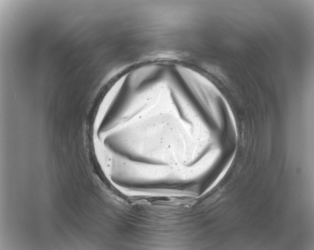 X0000063501404200602172106