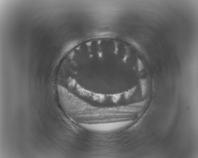 X0000063501405200602172106