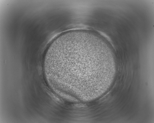 X0000063501407200602172106