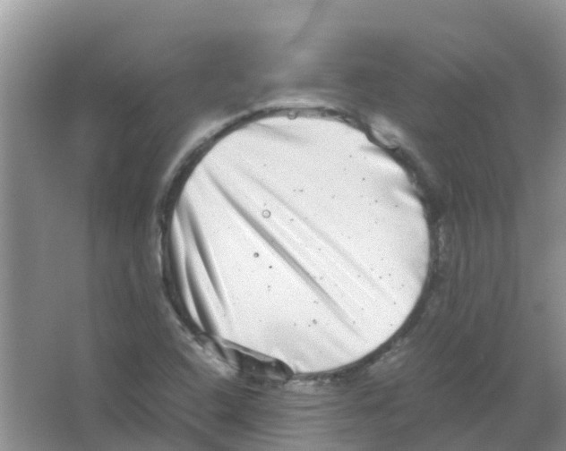 X0000063501408200602172106