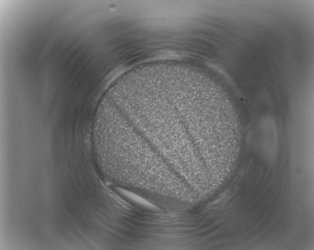 X0000063501409200602172106