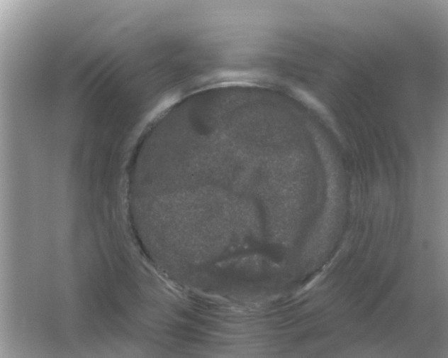 X0000063501411200602172106