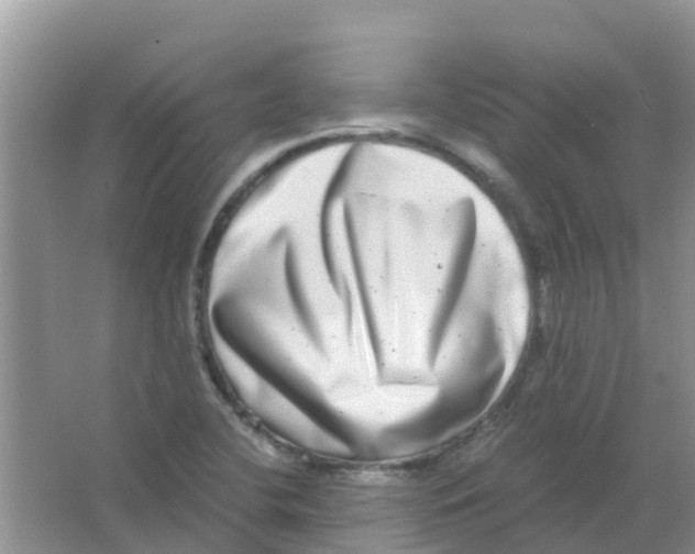 X0000063501412200602172106