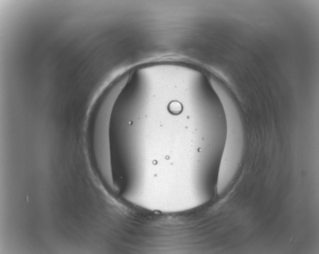 X0000063501414200602172106