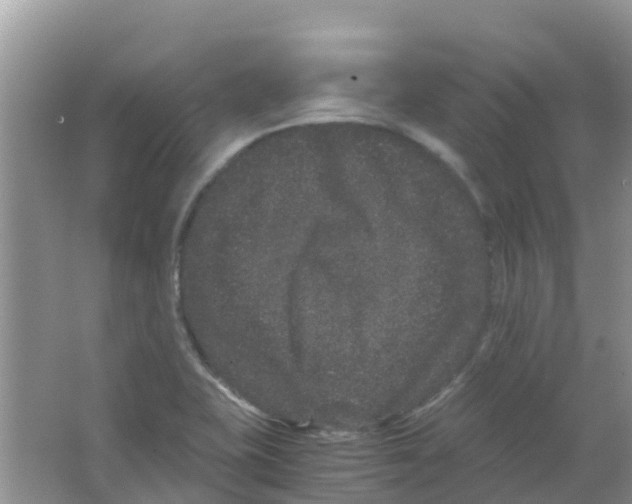 X0000063501415200602172106