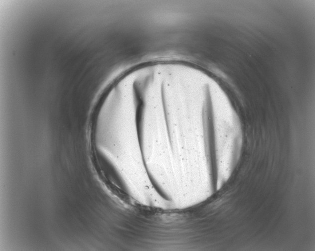 X0000063501416200602172106