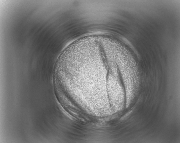 X0000063501417200602172106