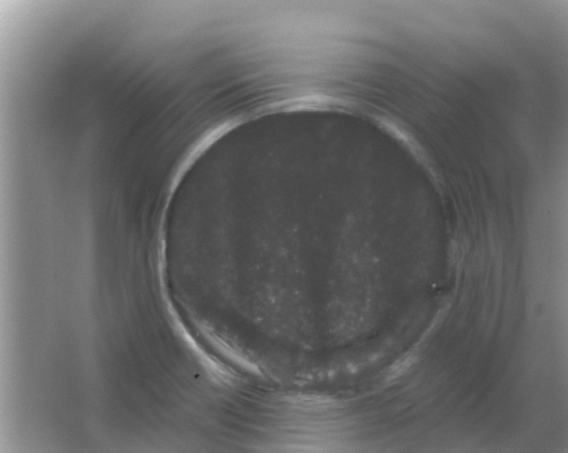 X0000063501418200602172106