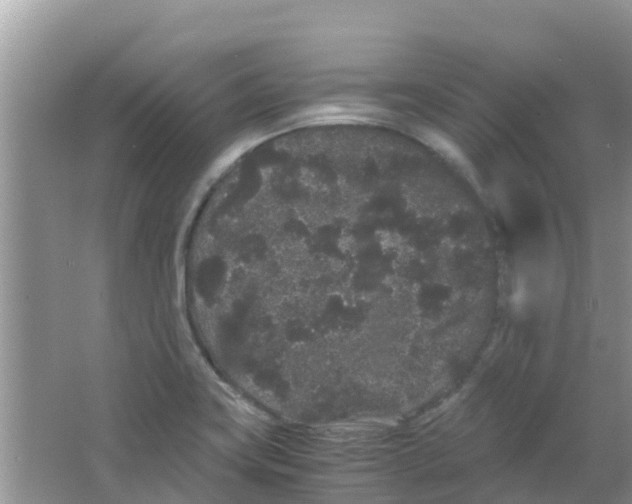 X0000063501419200602172106