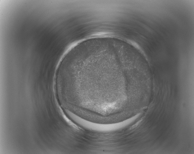 X0000063501421200602172106