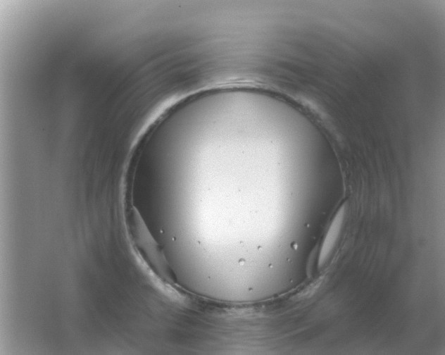 X0000063501422200602172106