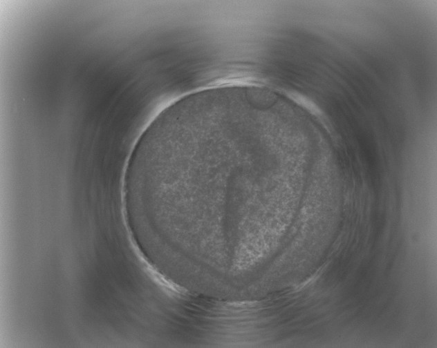 X0000063501423200602172106