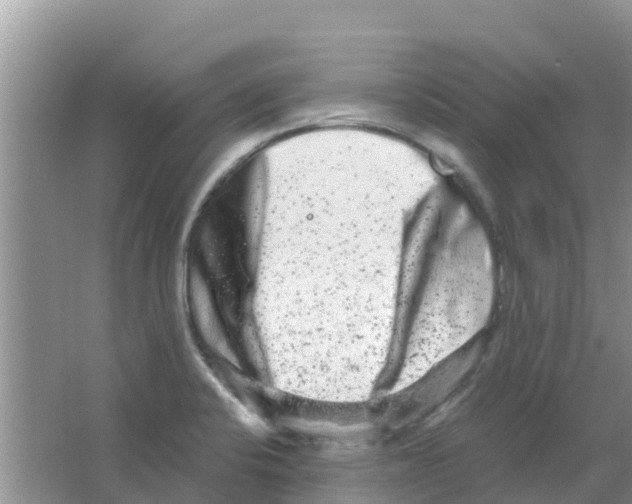 X0000063501424200602172106