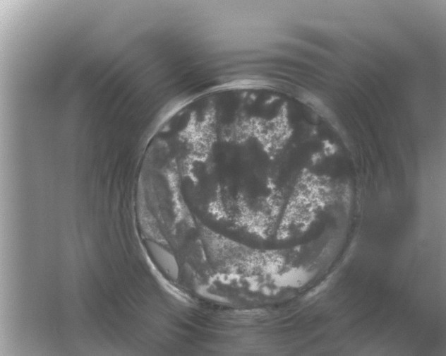 X0000063501425200602172106