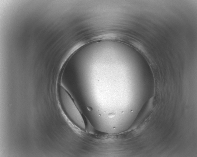 X0000063501426200602172106