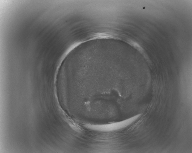 X0000063501427200602172106