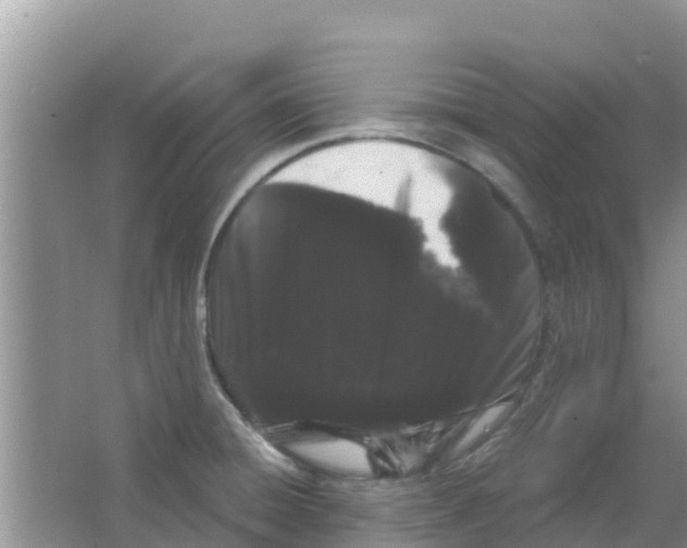 X0000063501428200602172107