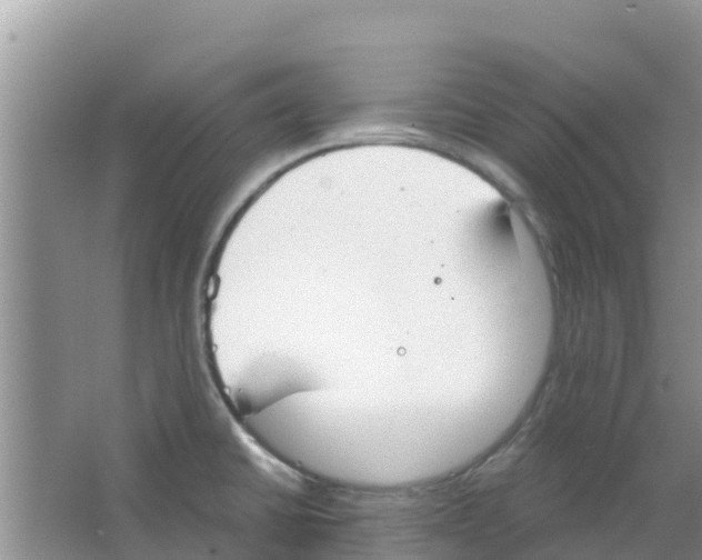 X0000063501430200602172107