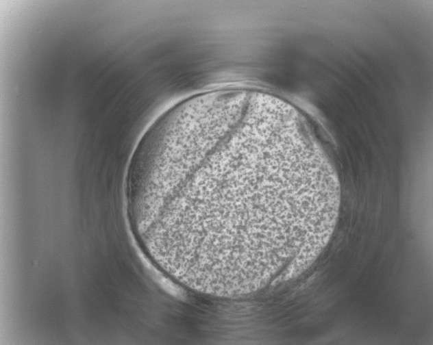 X0000063501431200602172107